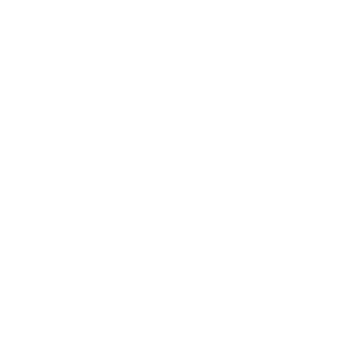 Logo APT