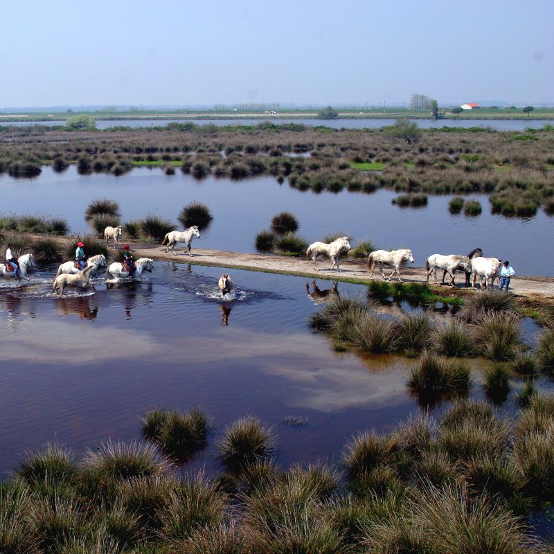 Scopri le esperienze della Romagna