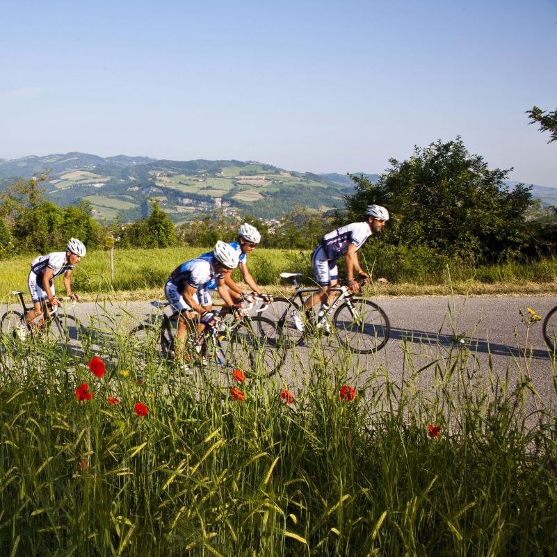 Vivi gli eventi della Romagna